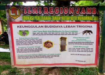 Pengunjung Taman Hutan Kota Diberikan Edukasi Tentang Budidaya Madu Trigona
