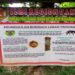 Pengunjung Taman Hutan Kota Diberikan Edukasi Tentang Budidaya Madu Trigona