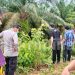 Warga Kecamatan Mersam Di Hebohkan Dengan Penemuan Sesok Mayat Tanpa Indentitas