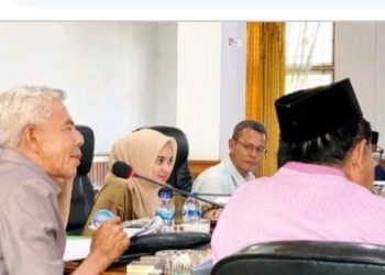 RDP DPRD Kabupaten Batanghari Bersama TAPD, Amin Keriting Fraksi Partai Gerindra Berang