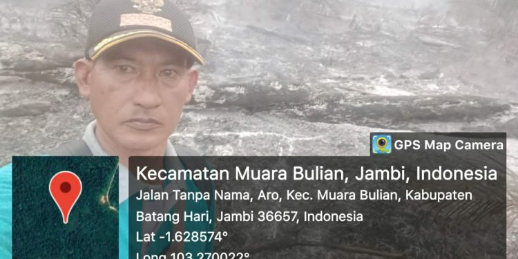 Kebakaran Menghanguskan Areal Perkebunan Sawit Warga Di Talang Aro Desa Aro