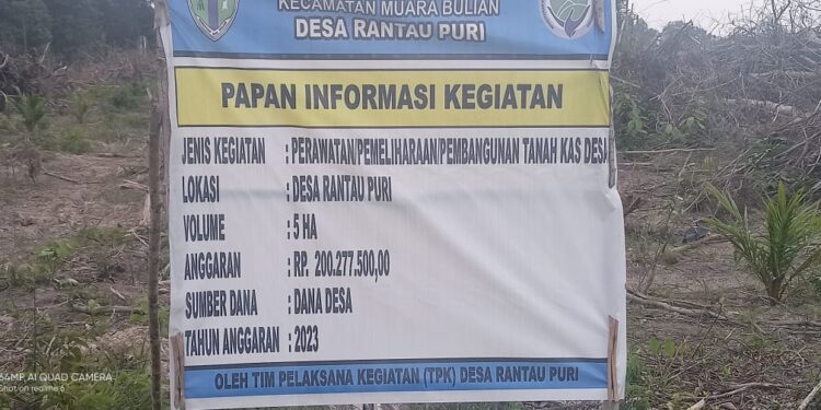 Bangun Kebun Kelapa Sawit Tuai Kritikan