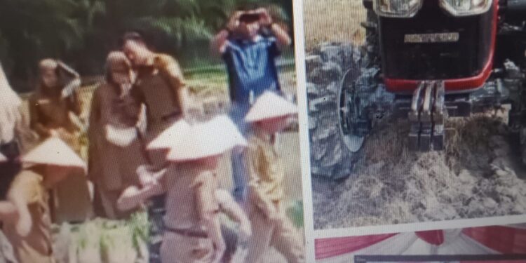 Mendukung Program Ketahanan Pangan Nasional, Bupati Dan wakil Bupati Muaro Jambi Mengadakan Tanam Padi Serentak